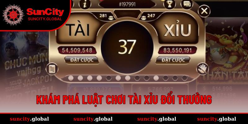 Tìm hiểu kỹ các nguyên tắc trong luật