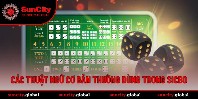 Ý nghĩa các thuật ngữ thường gặp trong Sicbo