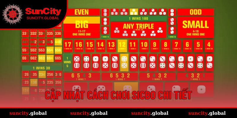 Trọn Bộ Hướng Dẫn Cách Chơi Sicbo Suncity Chính Xác 2 Tóm tắt hoàn chỉnh về cách chơi Sicbo cho tất cả thành viên mới