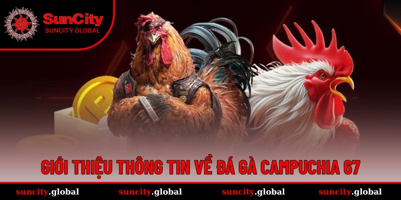 Đá gà Campuchia 67 cực kỳ thu hút đông đảo người chơi