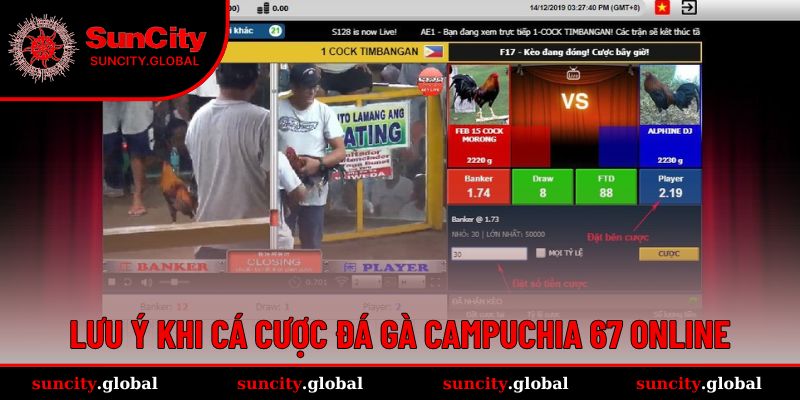 Lưu ý vài vấn đề khi cá cược đá gà online