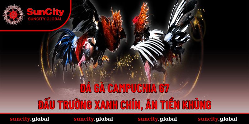 đá gà Campuchia 67