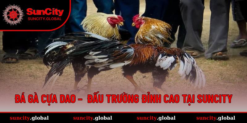 Đá Gà Cựa Dao – Trải Nghiệm Đấu Trường Đỉnh Cao Tại SUNCITY