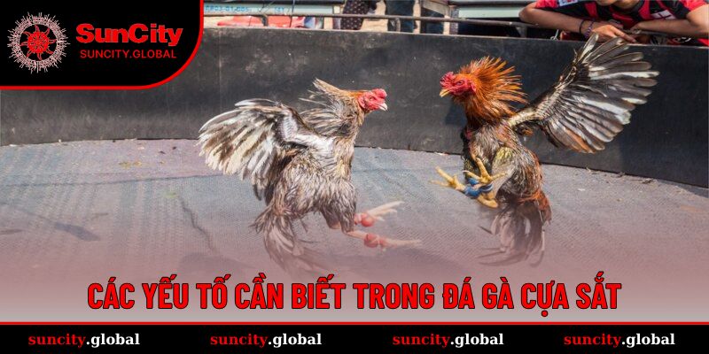 Các yếu tố cơ bản nên nắm được