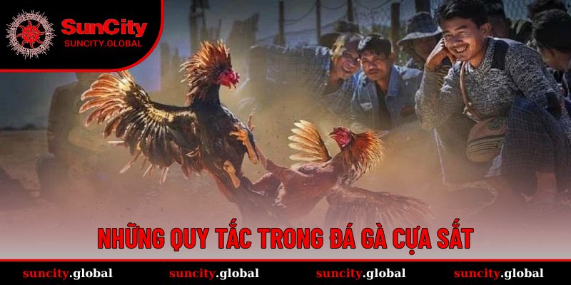 Những quy tắc cược chọi kê cần biết