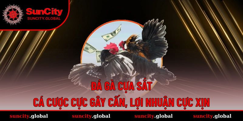 Đá Gà Cựa Sắt - Cá Cược Cực Gây Cấn, Lợi Nhuận Cực Xịn