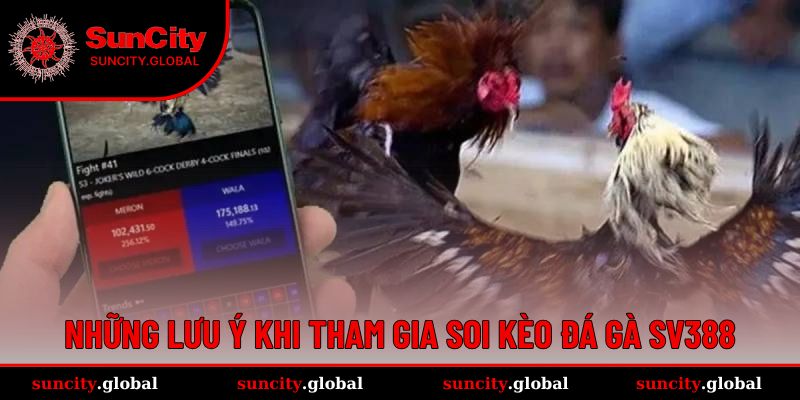 Những lưu ý để dễ dàng tham gia cá cược đá gà 