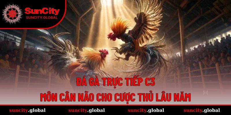 Đá Gà Trực Tiếp C3 - Môn Cân Não Cho Cược Thủ Lâu Năm