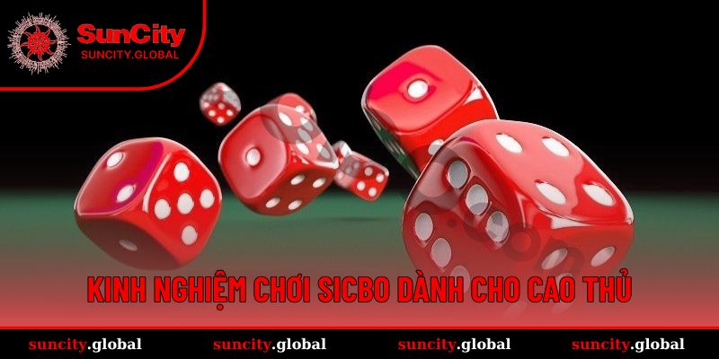 Kinh Nghiệm Chơi Sicbo Được Chuyên Gia Suncity Chia Sẻ 3 Kinh nghiệm chơi Sicbo dành cho cao thủ