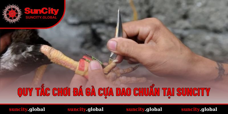Quy tắc chuẩn trong đá gà cựa dao