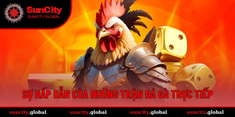 Lý giải sức hút của hình thức đá gà này