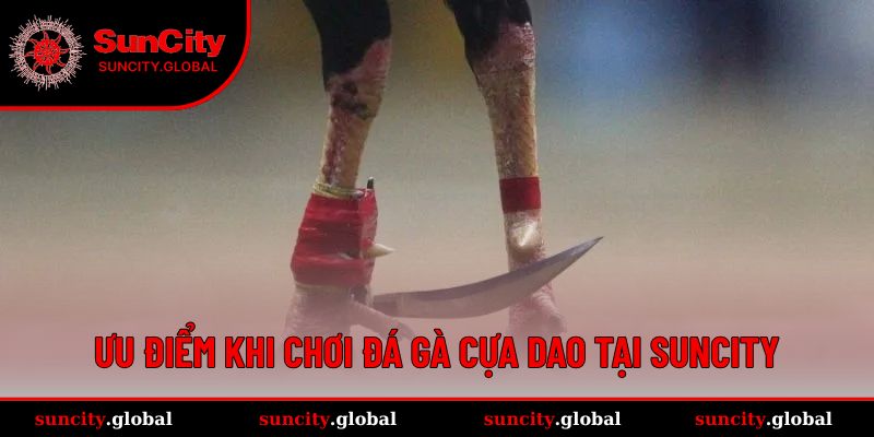 Ưu điểm khi chơi tại SUNCITY