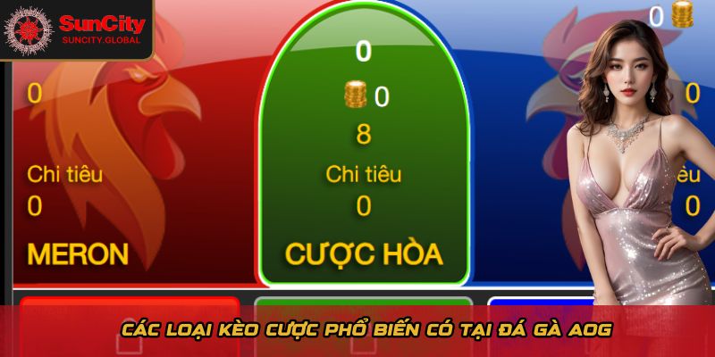 Các loại kèo cược phổ biến có tại đá gà AOG