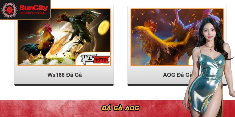 Đá gà AOG