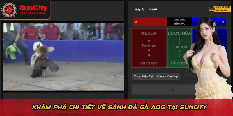 Khám phá chi tiết về sảnh đá gà AOG tại Suncity