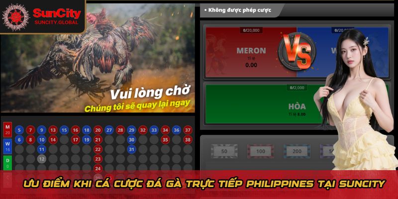 Ưu điểm khi cá cược đá gà trực tiếp Philippines tại Suncity