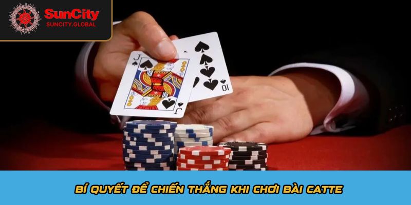Bí quyết để chiến thắng khi chơi bài Catte
