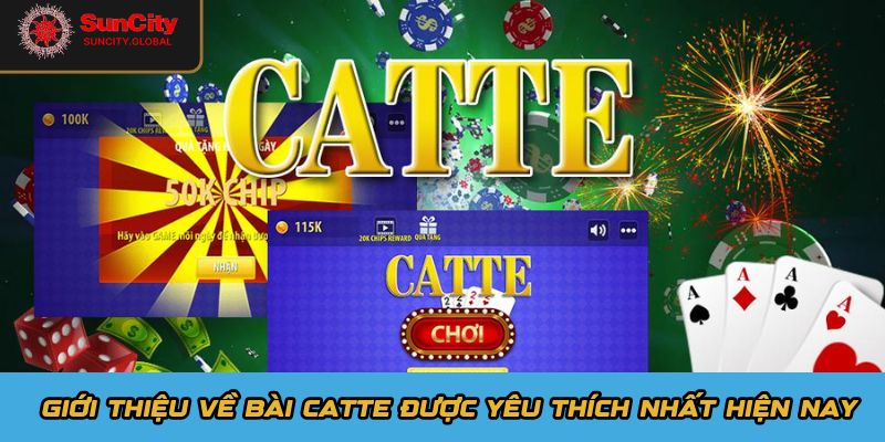 Giới thiệu về bài Catte được yêu thích nhất hiện nay
