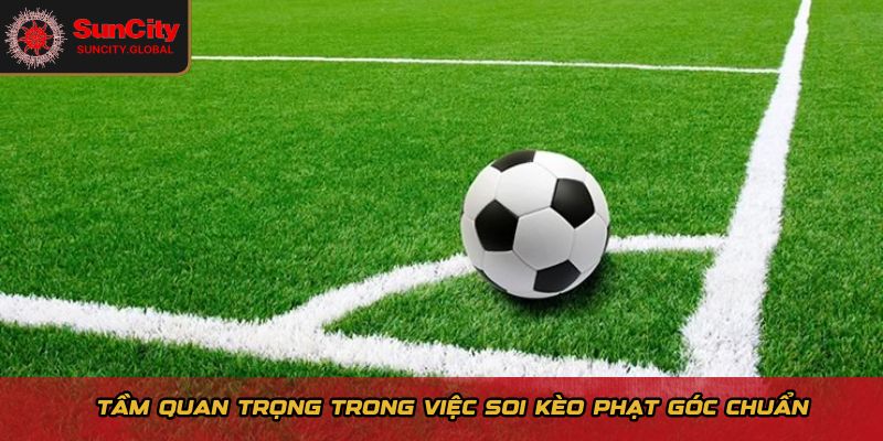 Tầm quan trọng trong việc soi kèo phạt góc chuẩn